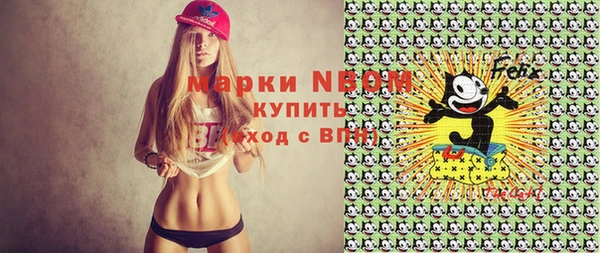 apvp Новозыбков