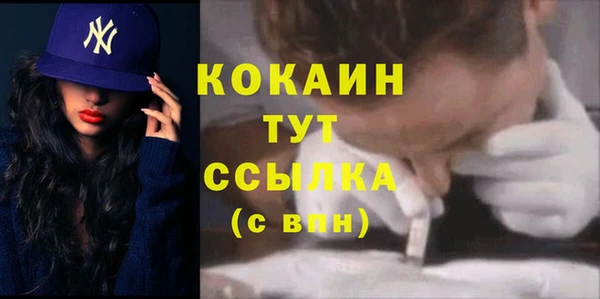 apvp Новозыбков