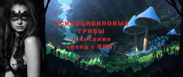спиды Нефтекумск